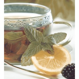 Dec Tea Panno (панно из 2-х шт) КПН16Tea 50х45 Ceradim