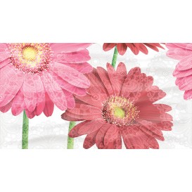 Dec Gerbera Panno A КПН16GerberaA 25х45 Ceradim