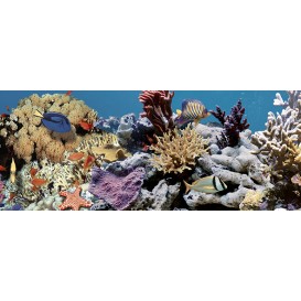 Ocean Reef 2 Декор 20x50 Дельта Керамика