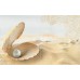 Amalfi sand 02 Панно 50x80 (панно из 4-х шт) Gracia Ceramica