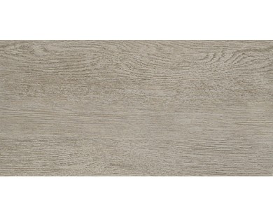 Alania grey Керамогранит 01 20х40 Gracia Ceramica